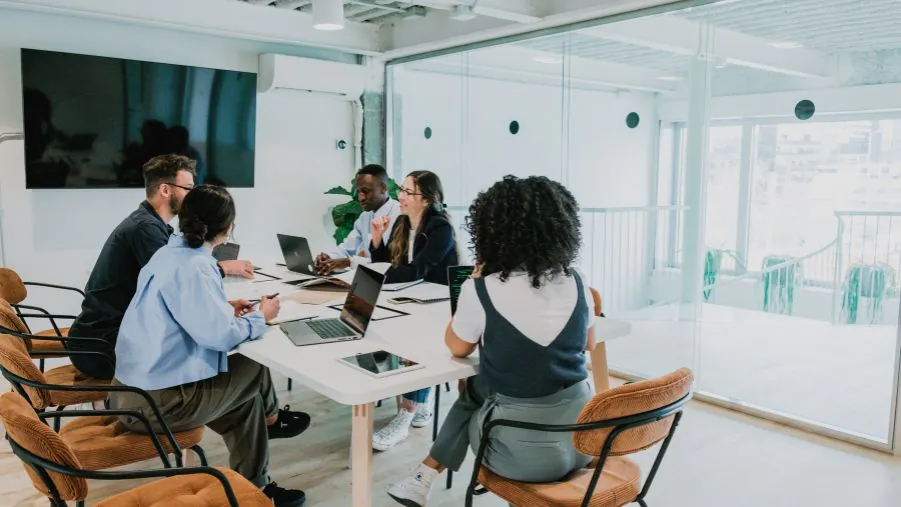 company constitution